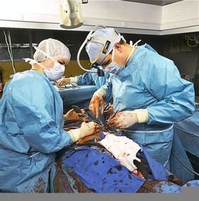 Opération à cœur ouvert